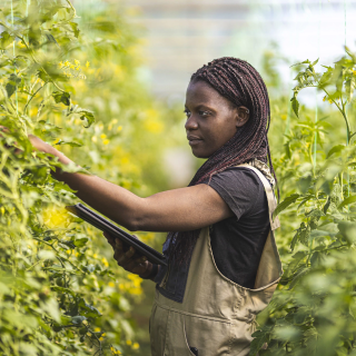 African Agriculture Is the Key to Global Sustainable Development